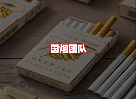 国烟团队